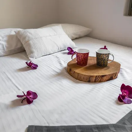 βδηφουκς Vakantiehuis